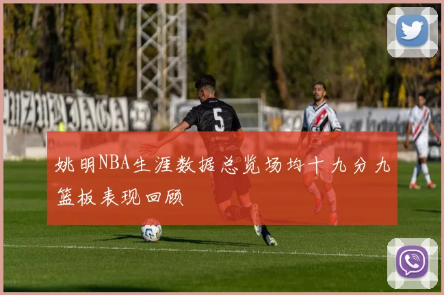 姚明NBA生涯数据总览场均十九分九篮板表现回顾