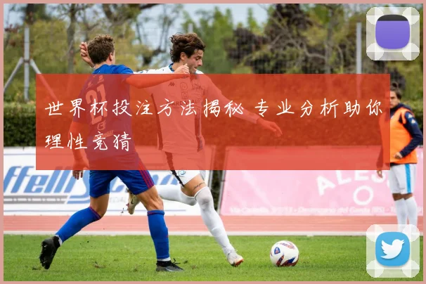 世界杯投注方法揭秘 专业分析助你理性竞猜