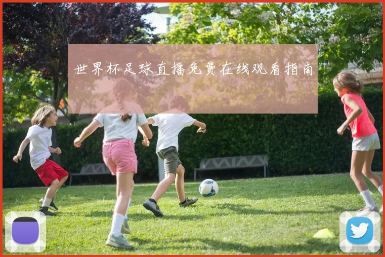 世界杯足球直播免费在线观看指南